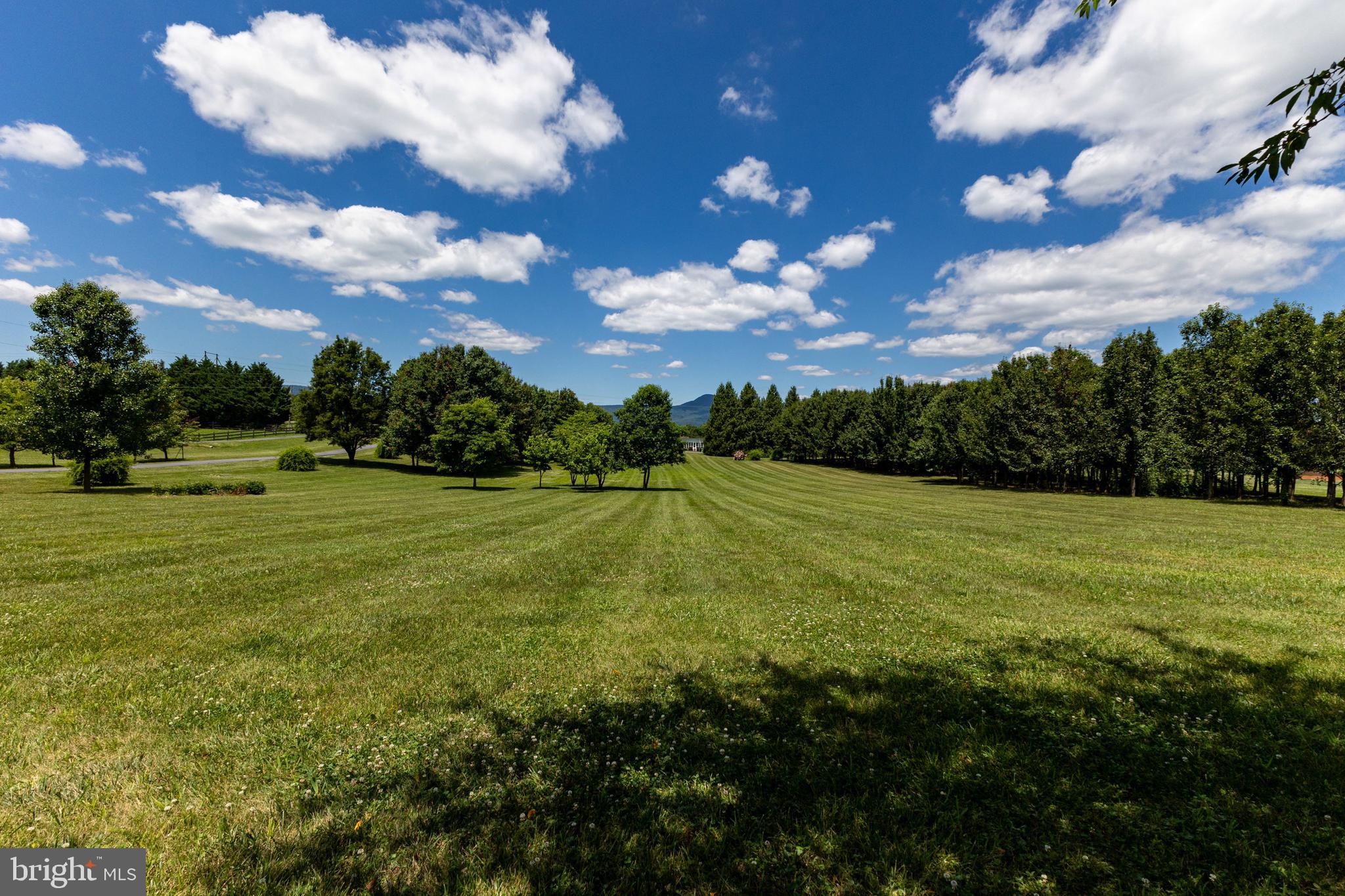 825 Parkview Estates Road Luray, VA 22835 - Photo 23 of 31