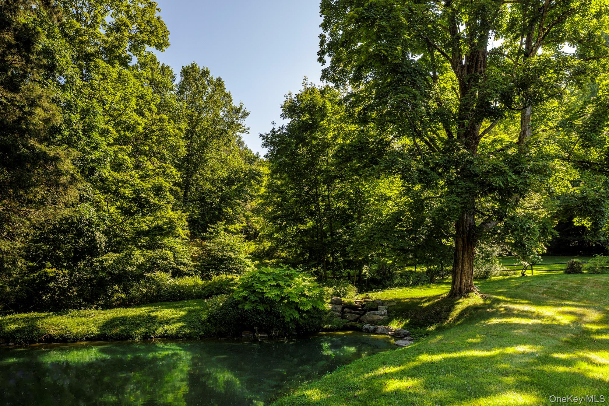 425 Camby Road Millbrook, NY 12545 - Photo 35 of 39 a view of a yard with a tree