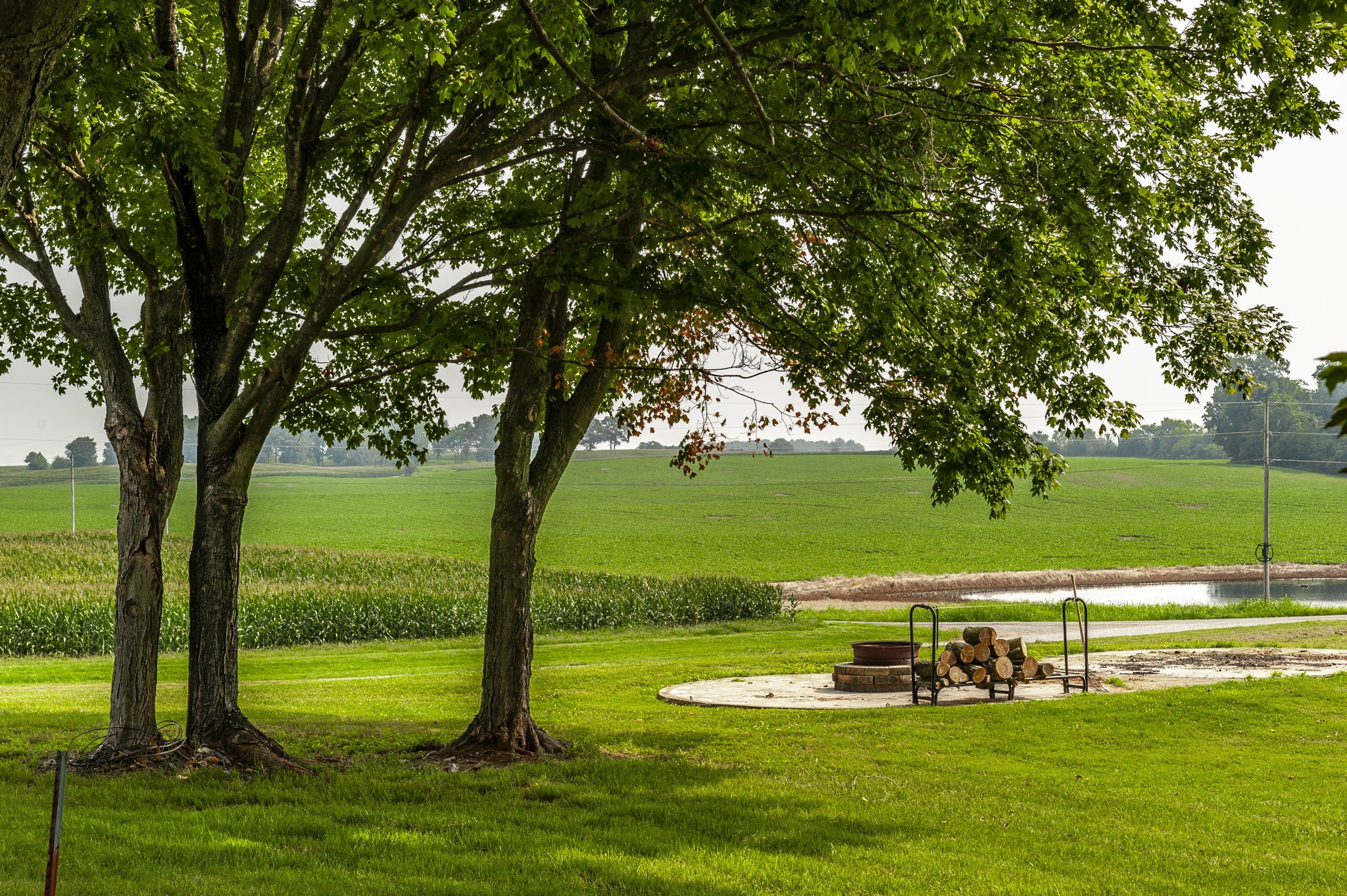 4131 Corbin Sneed Road Springfield, TN 37172 - Photo 4 of 52 a view of a lake with a big yard