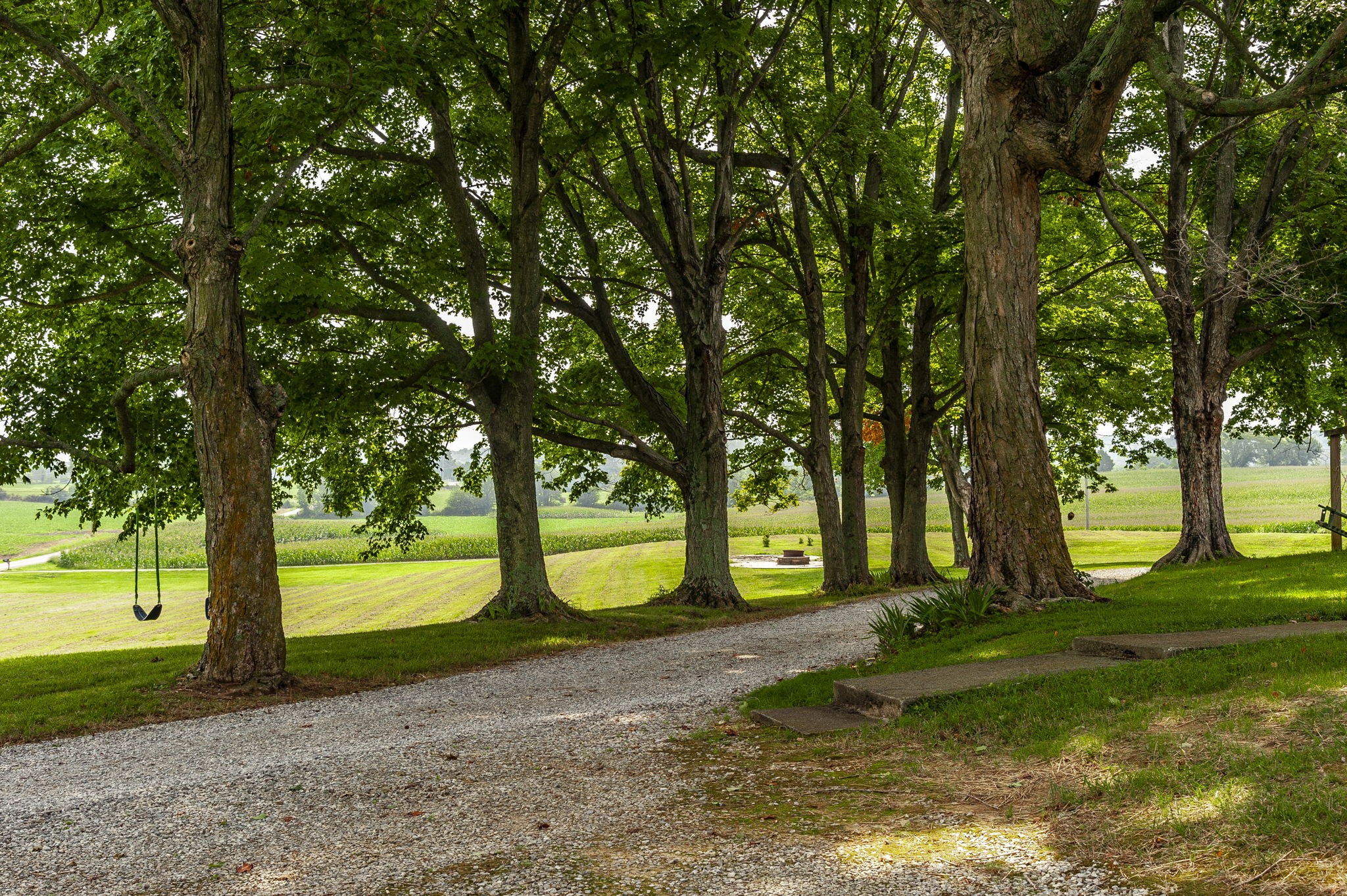 4131 Corbin Sneed Road Springfield, TN 37172 - Photo 6 of 52 a view of a yard with tree s