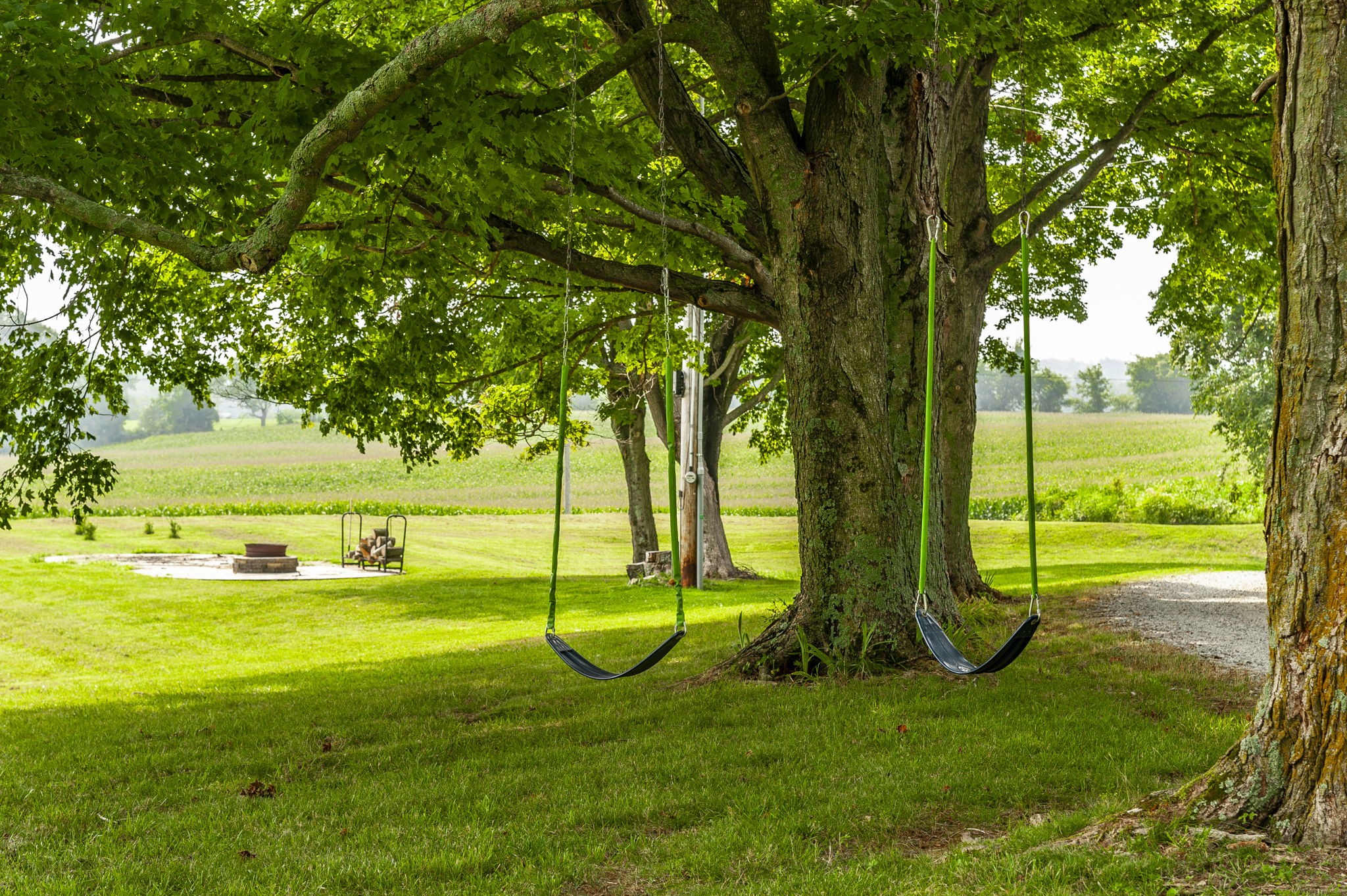 4131 Corbin Sneed Road Springfield, TN 37172 - Photo 7 of 52 a view of a park with a large tree