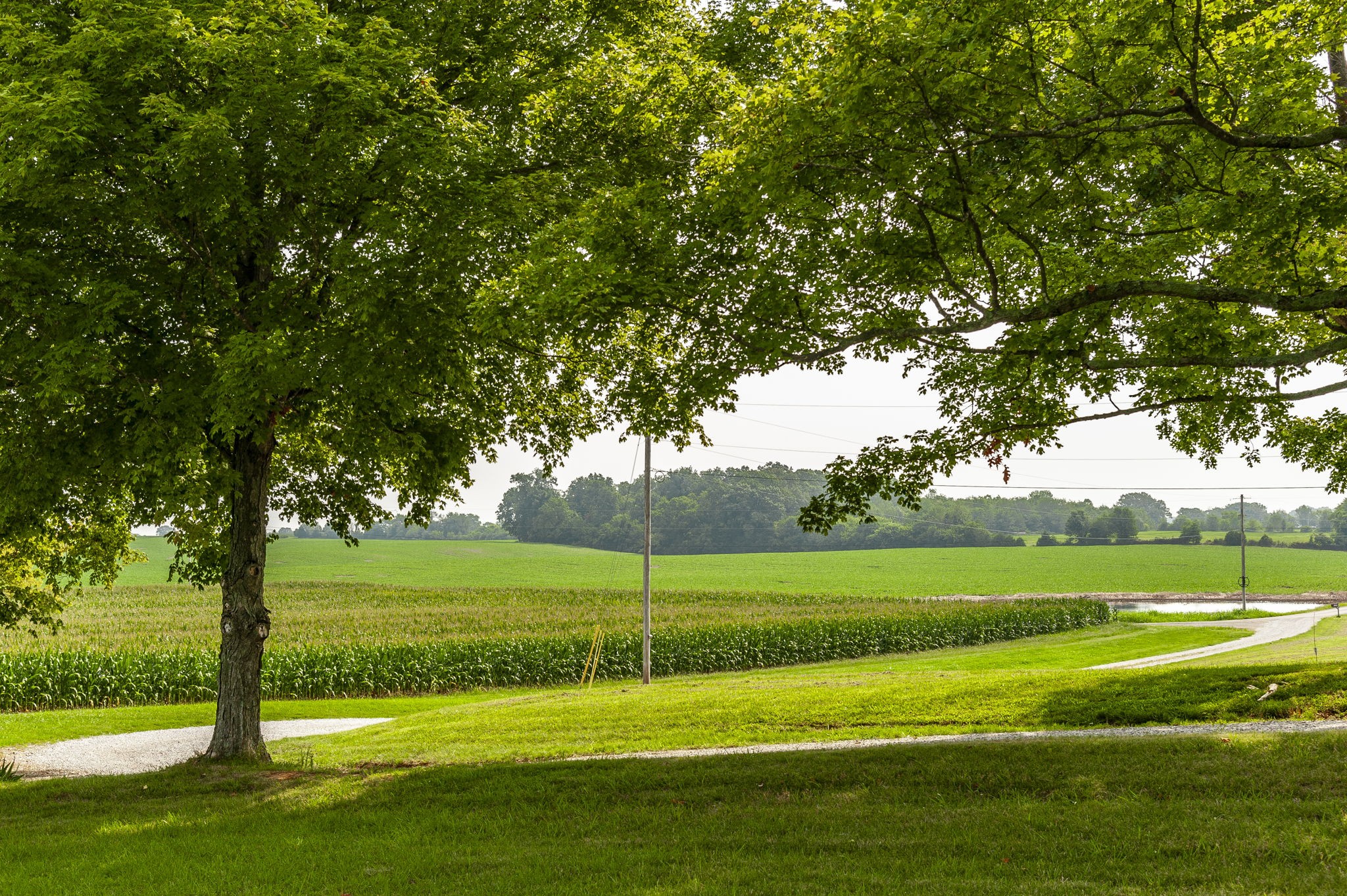 4131 Corbin Sneed Road Springfield, TN 37172 - Photo 9 of 52 a view of a park