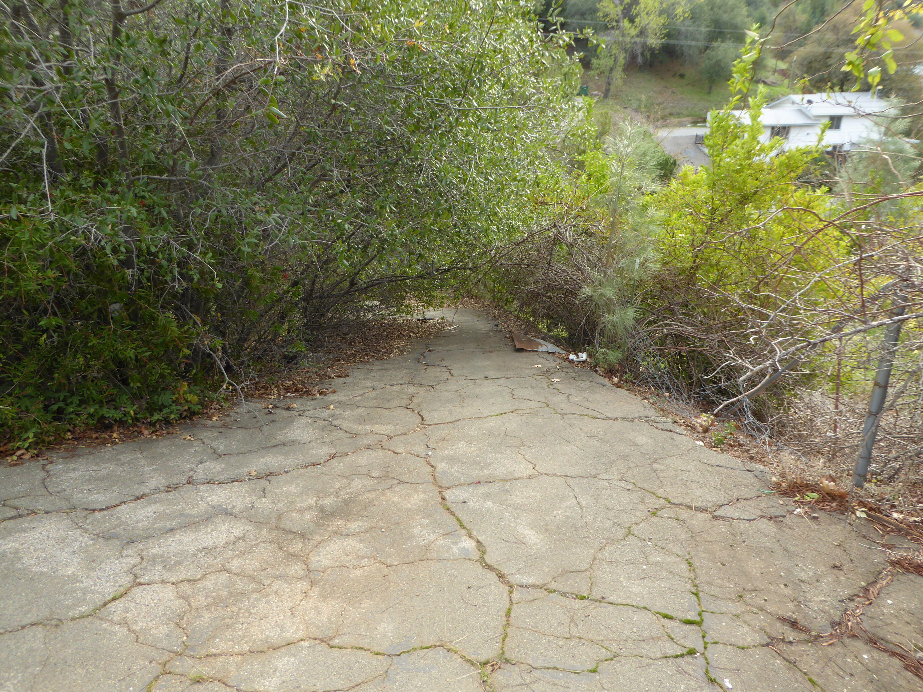 14760 Ravine Road Redding, CA 96003 - Photo 4 of 12 P1120381