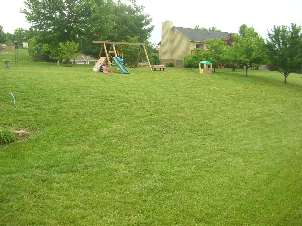 5357 Huntridge Road Roanoke, VA 24012 - Photo 3 of 13 Great backyard