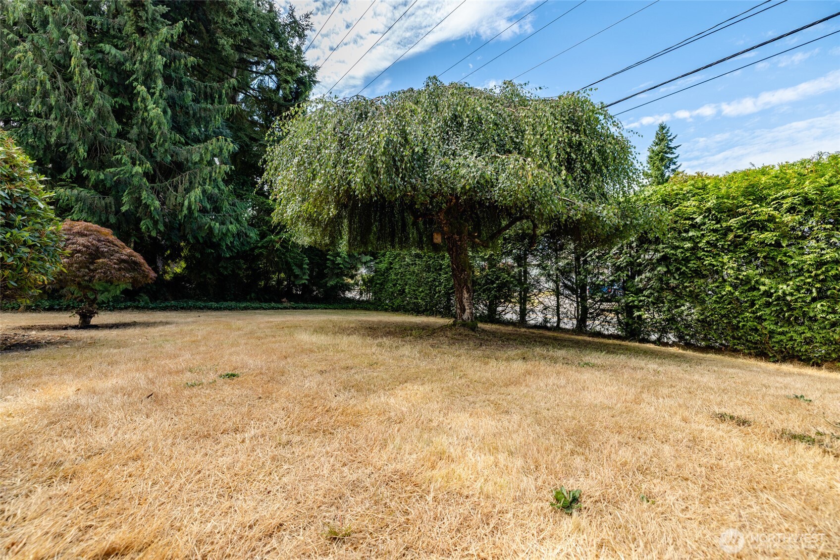 2496 Yew Street Road Bellingham, WA 98229 - Photo 30 of 38 a view of a backyard