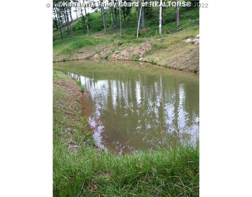 0 Lynn Fork Road Elkview, WV 25071 - Photo 6 of 15 Land. PICTURE OF POND