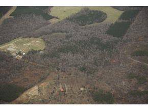1 Radnor Farm Road Mebane, NC 27302 - Photo 5 of 9 Photo 5