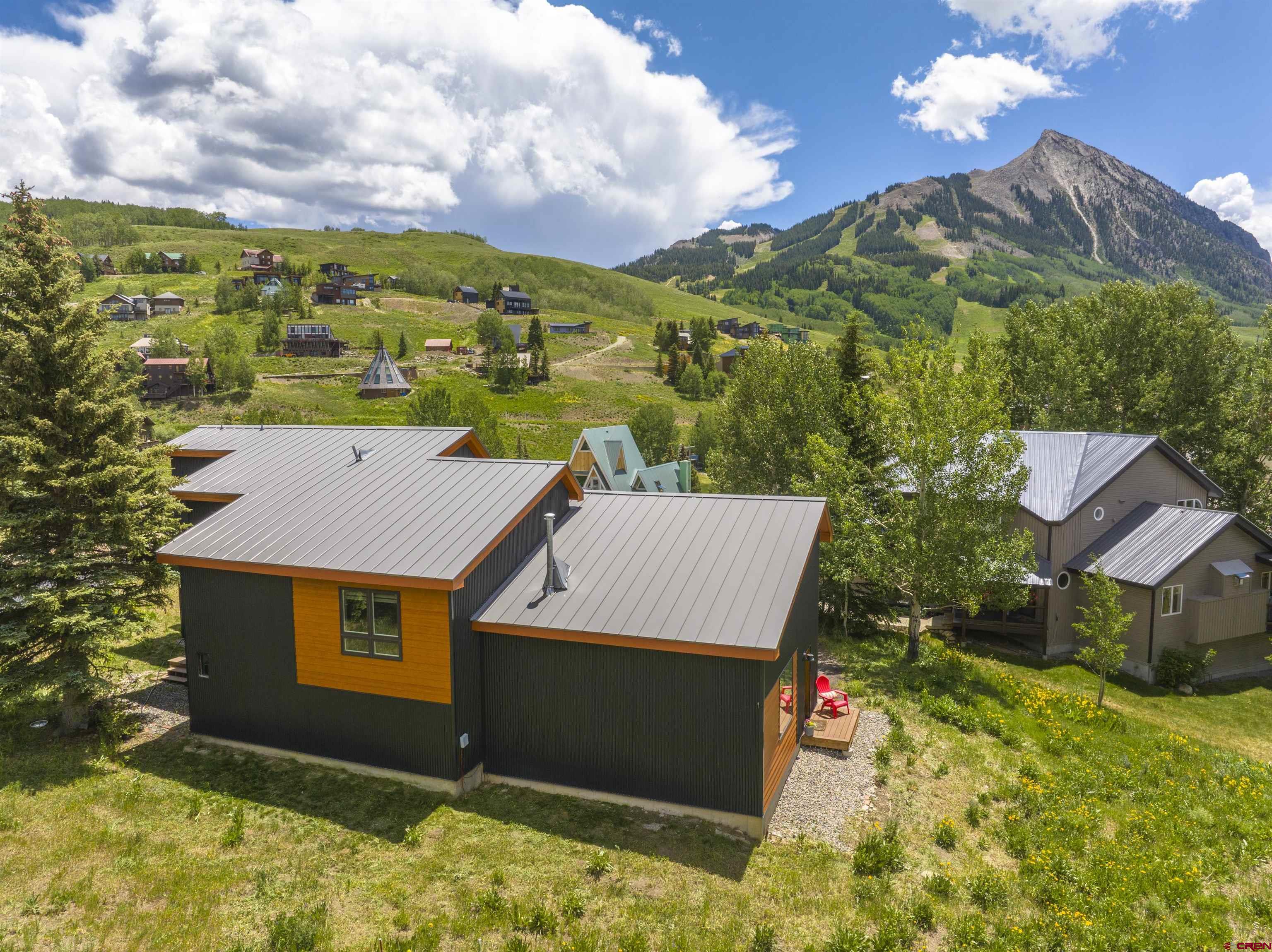 29 Treasury Road Crested Butte, CO 81225 - Photo 3 of 45