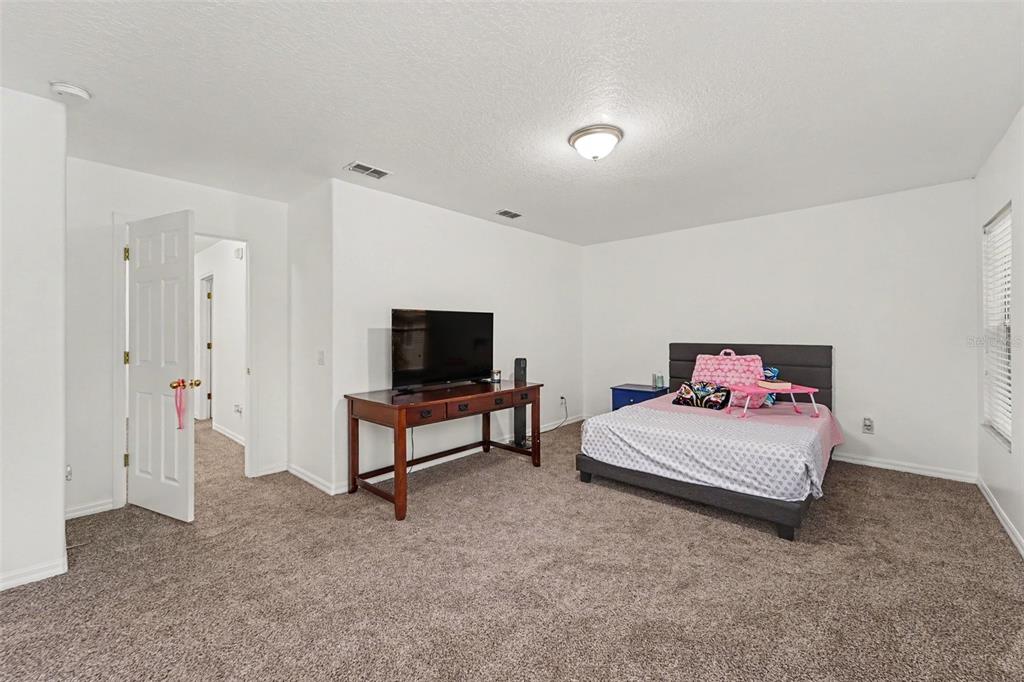 2436 Spring Hollow Loop Wesley Chapel, FL 33544 - Photo 17 of 28