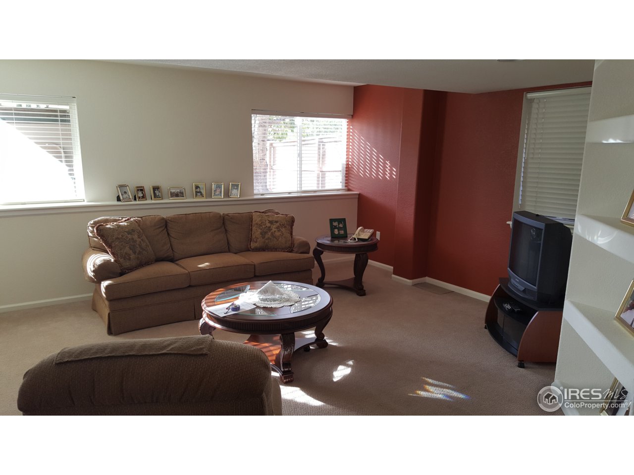 9775 Dampler Way Highlands Ranch, CO 80130 - Photo 11 of 14 Family room - downstairs