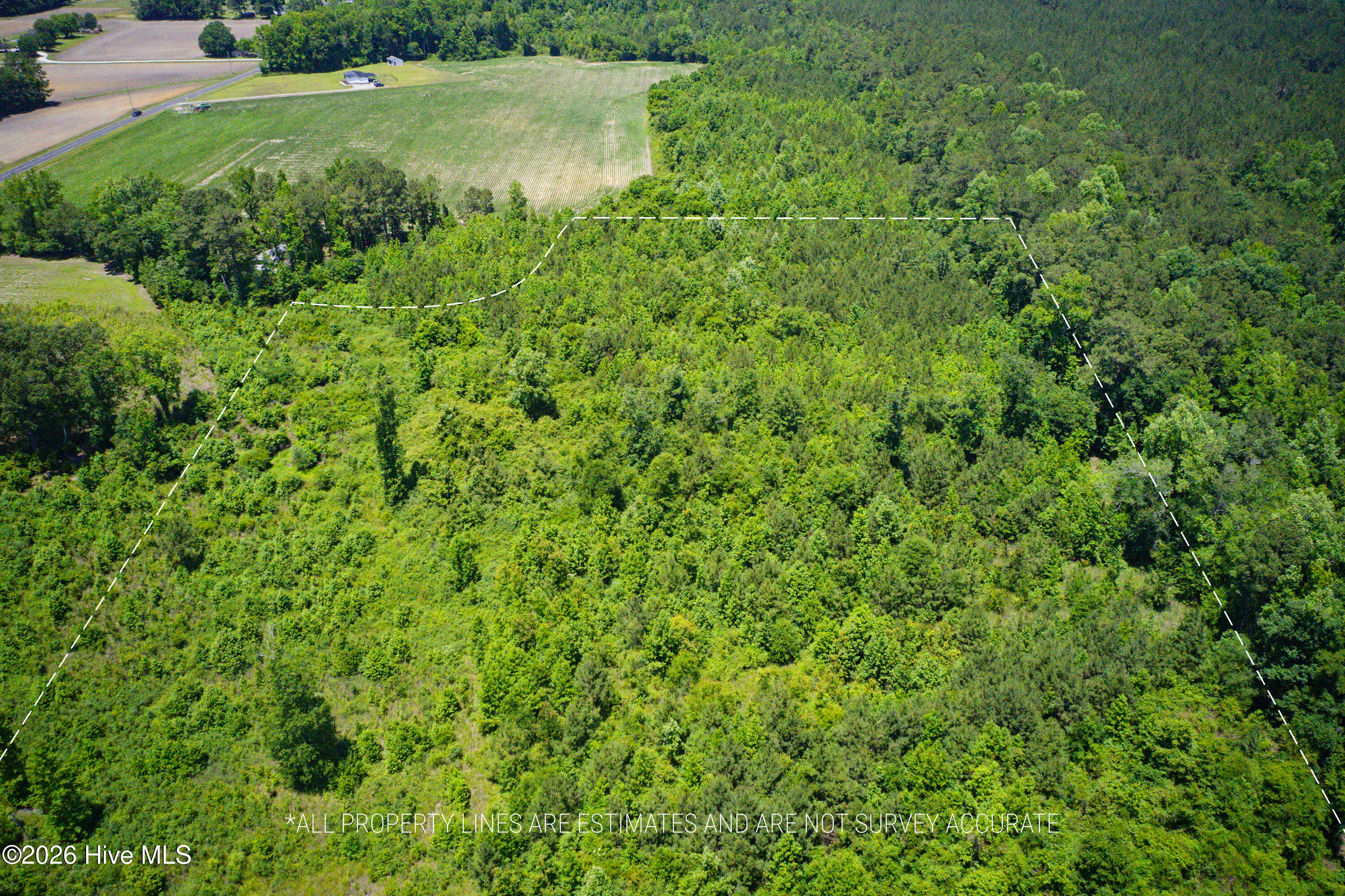 6615 Silver Spoon Road Clarkton, NC 28433 - Photo 16 of 53 MLS_Ready (7 of 40)v