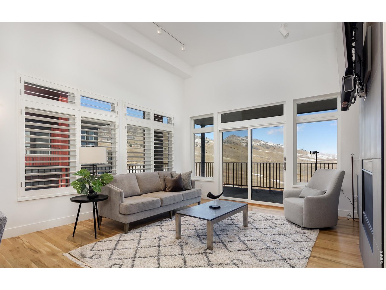 650 Terrace Avenue, Unit E Boulder, CO 80304 - Photo 3 of 44 a living room with furniture and a potted plant