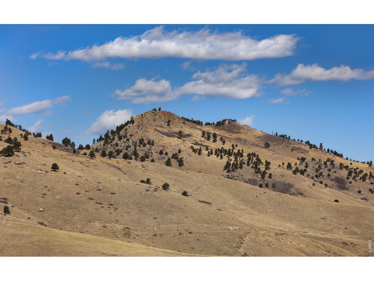 650 Terrace Avenue, Unit E Boulder, CO 80304 - Photo 4 of 44 a view of a sky view