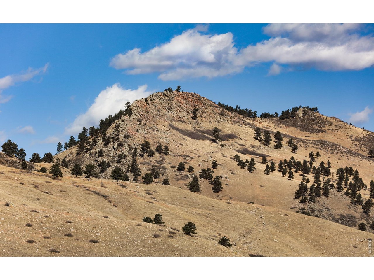 650 Terrace Avenue, Unit E Boulder, CO 80304 - Photo 5 of 44