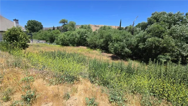 a view of a green yard
