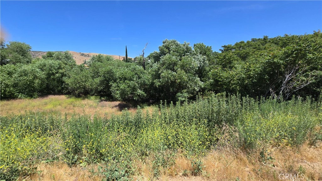 0 Rimford Street Lake Elizabeth, CA 93532 - Photo 12 of 31 a view of a green yard