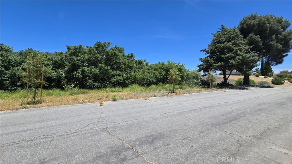 0 Rimford Street Lake Elizabeth, CA 93532 - Photo 19 of 31 a view of a road with a yard