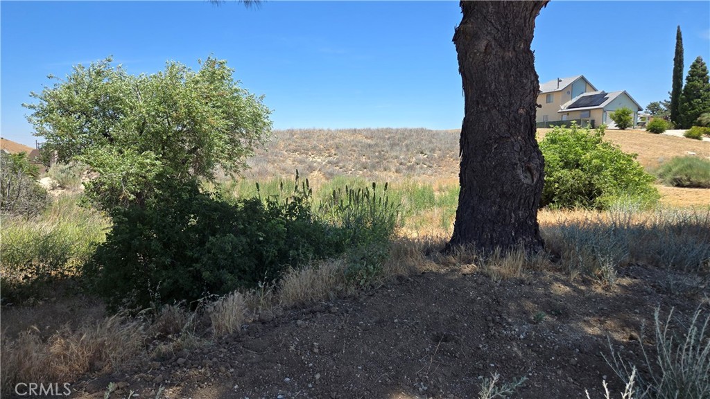 0 Rimford Street Lake Elizabeth, CA 93532 - Photo 22 of 31 a view of a yard with a tree in the background