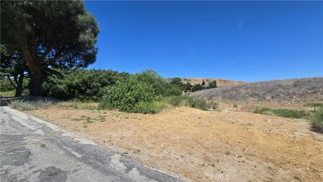 a view of a yard with a tree