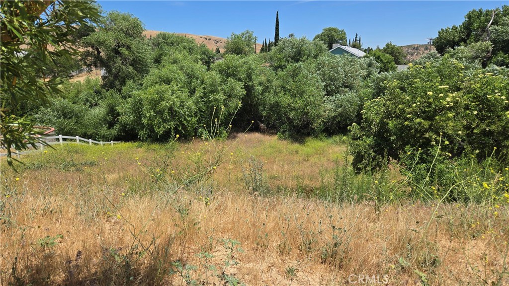 0 Rimford Street Lake Elizabeth, CA 93532 - Photo 5 of 31 a view of a yard