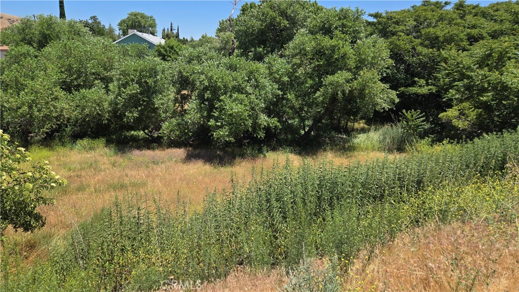 0 Rimford Street Lake Elizabeth, CA 93532 - Photo 6 of 31 an aerial view of a houses with yard