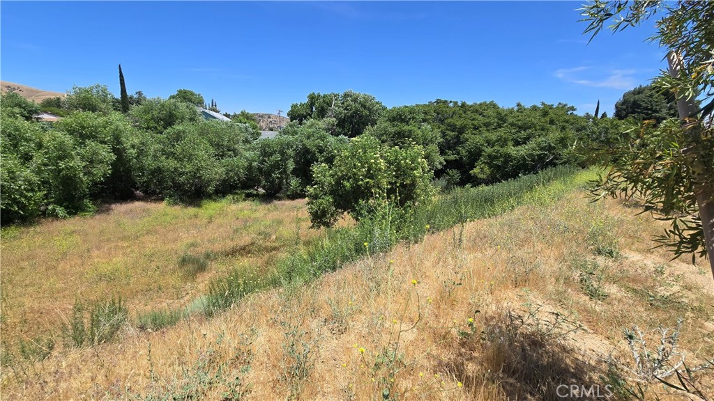 0 Rimford Street Lake Elizabeth, CA 93532 - Photo 7 of 31 a view of a yard with a tree