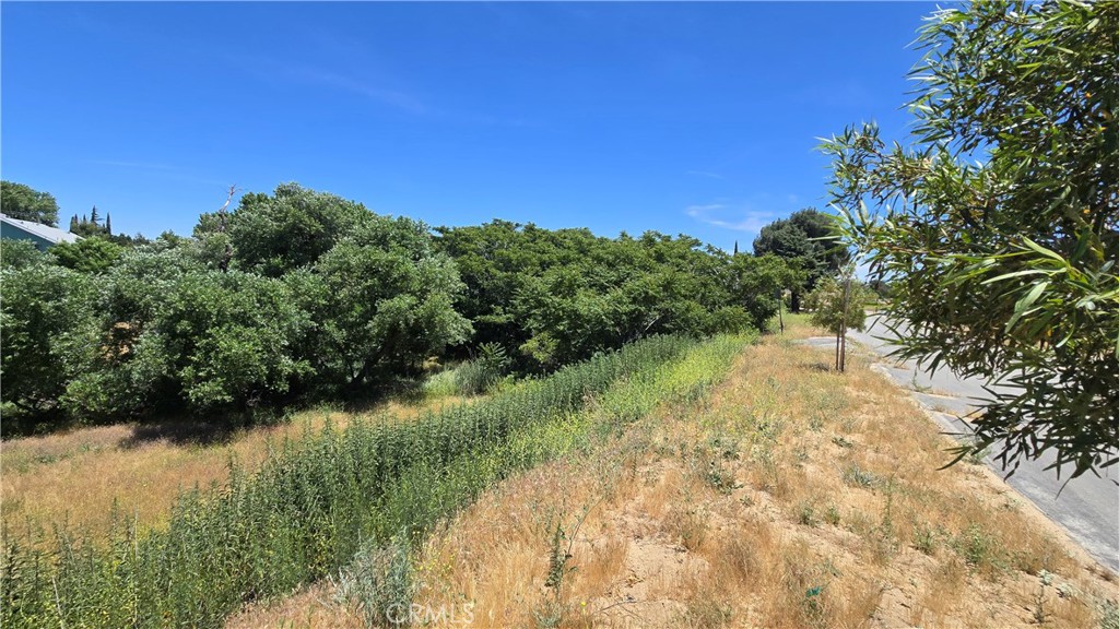 0 Rimford Street Lake Elizabeth, CA 93532 - Photo 10 of 31 a view of lake background