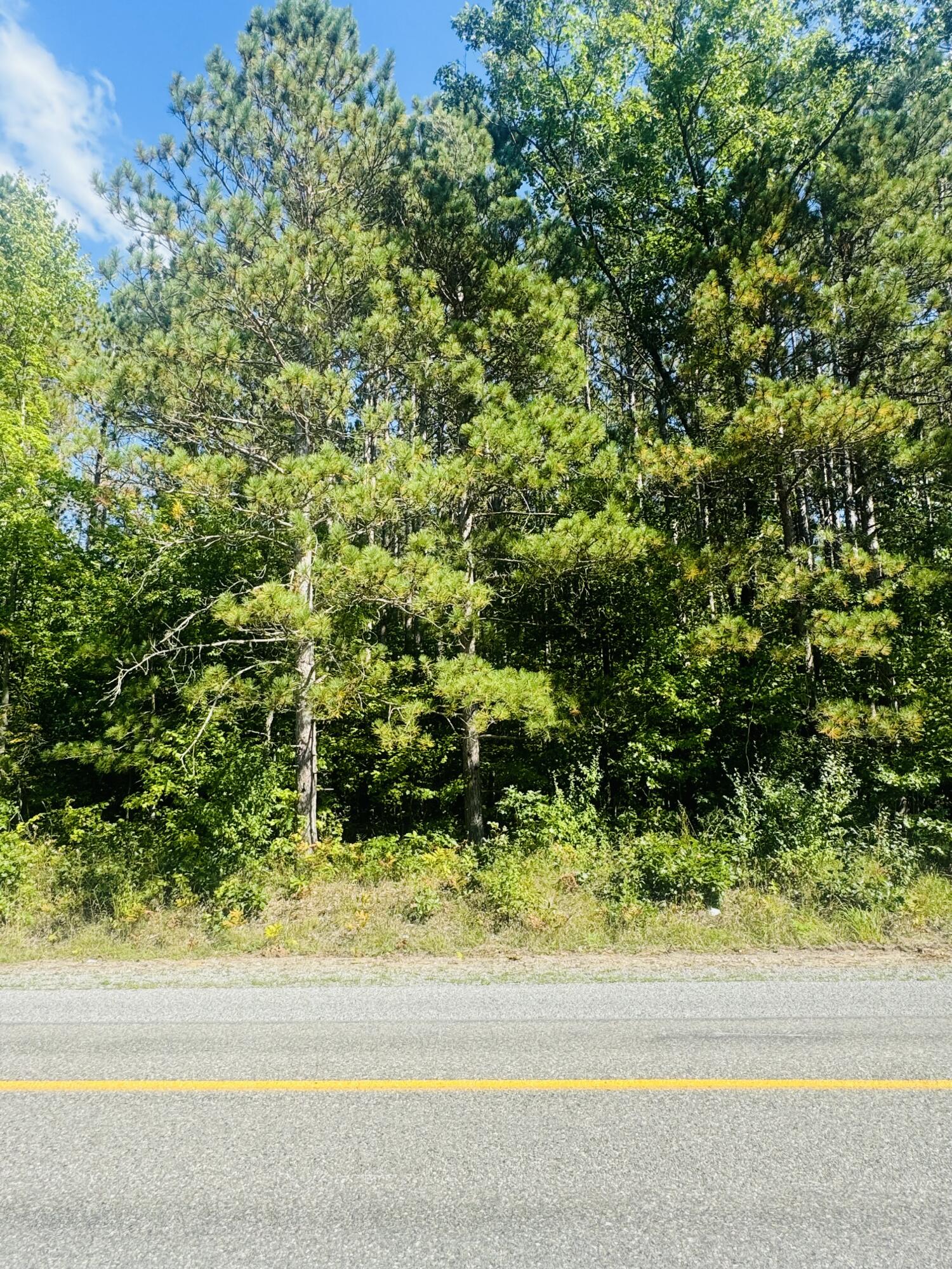 North Tyndall Road Branch, MI 49402 - Photo 6 of 17 Across from property