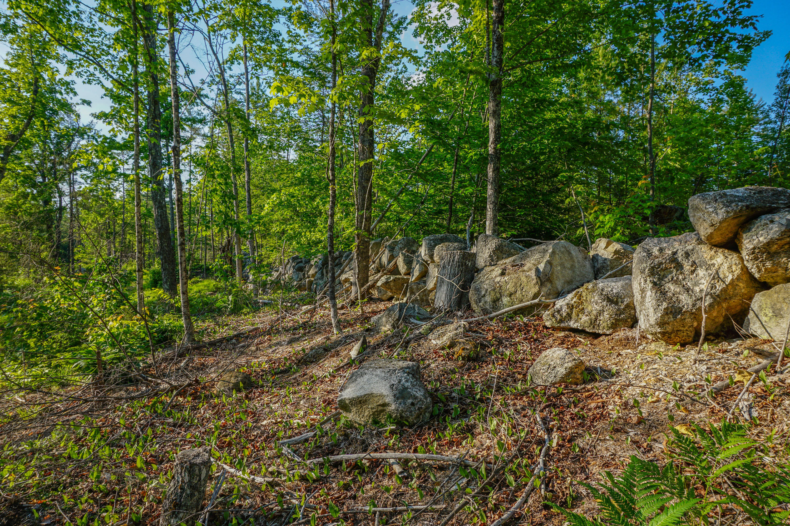 Lot 36 Knights Hill Road Harrison, ME 04040 - Photo 25 of 26 Lot 36, Sweden_124