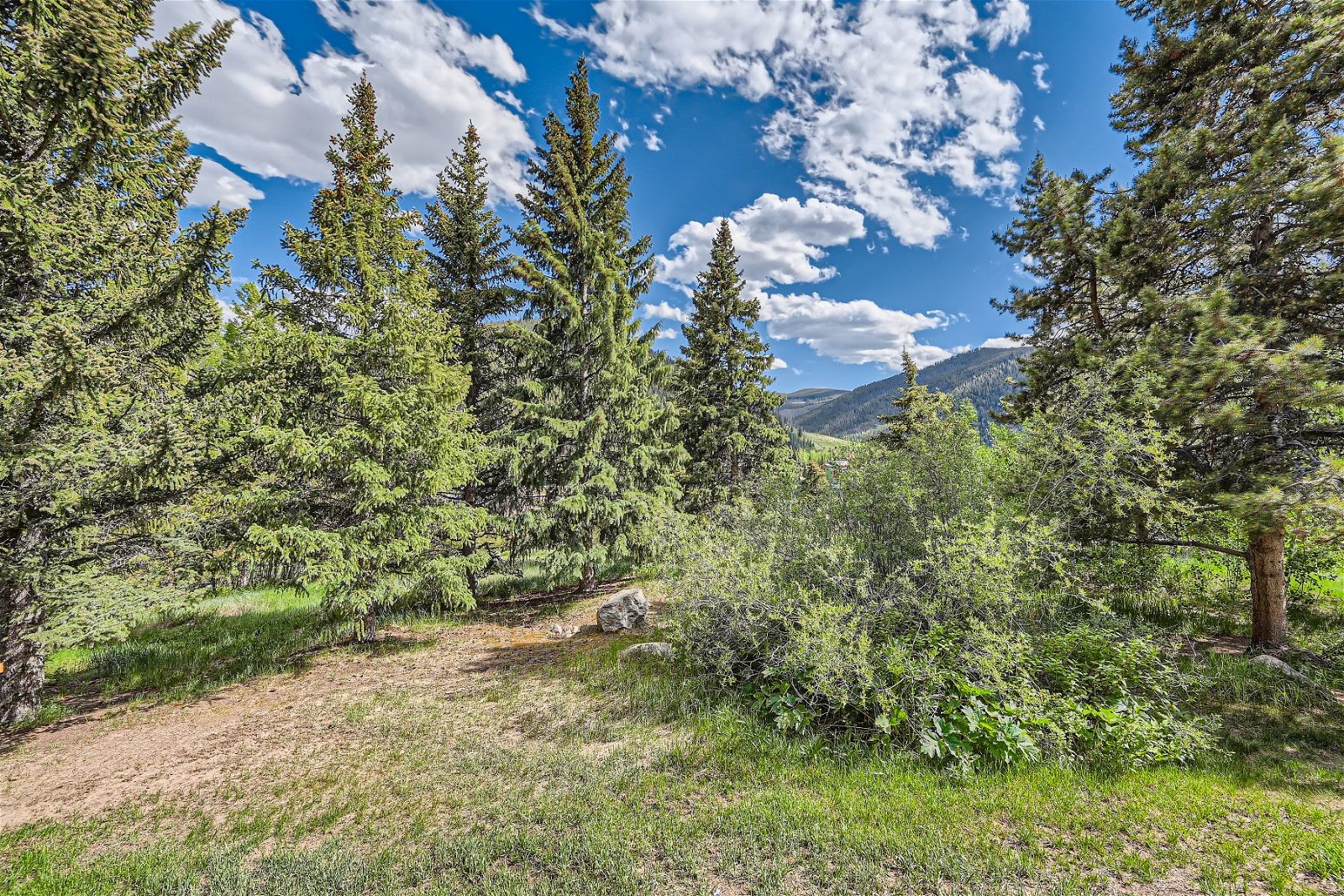 440 Tennis Club Road, Unit 1321 Keystone, CO 80435 - Photo 34 of 42 The wooded area in the back enhances privacy and lends a mountainous ambiance, complete with stunning views.