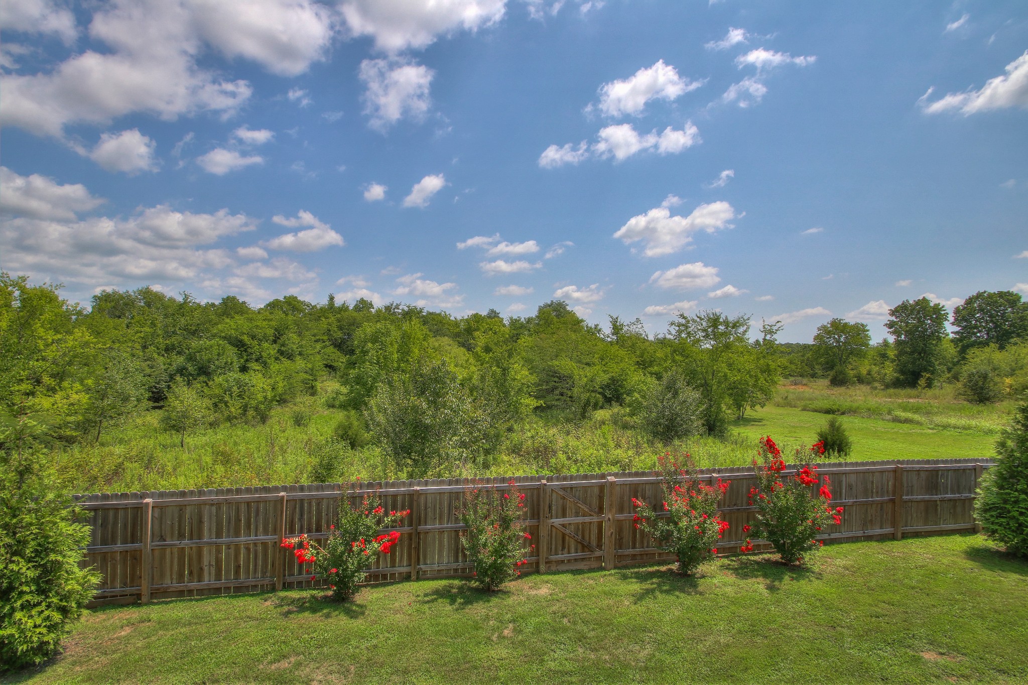 2025 Lincoln Road Spring Hill, TN 37174 - Photo 35 of 37 a view of a garden