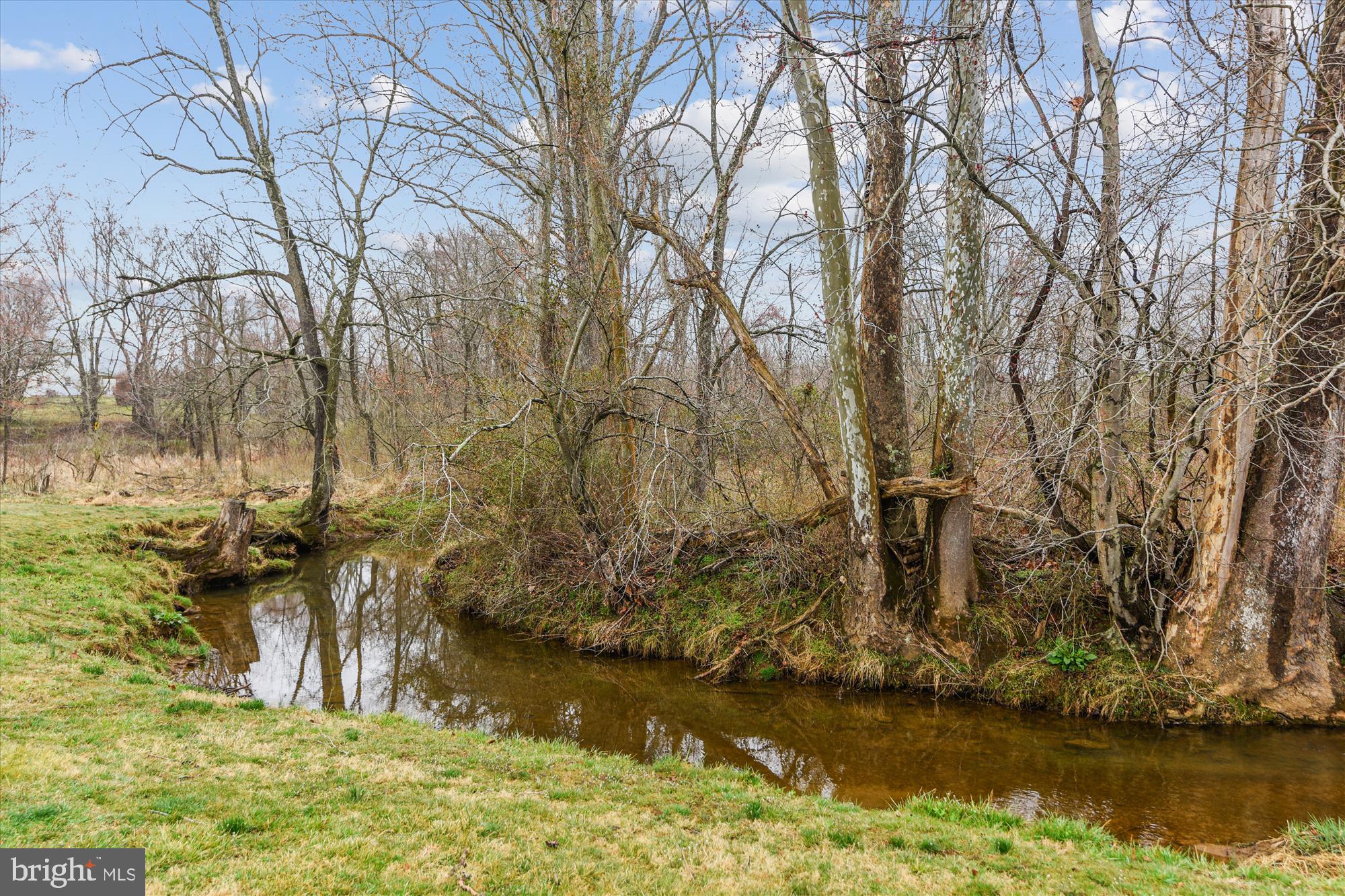5245 Georgetown Road Broad Run, VA 20137 - Photo 13 of 73 Trapp Branch