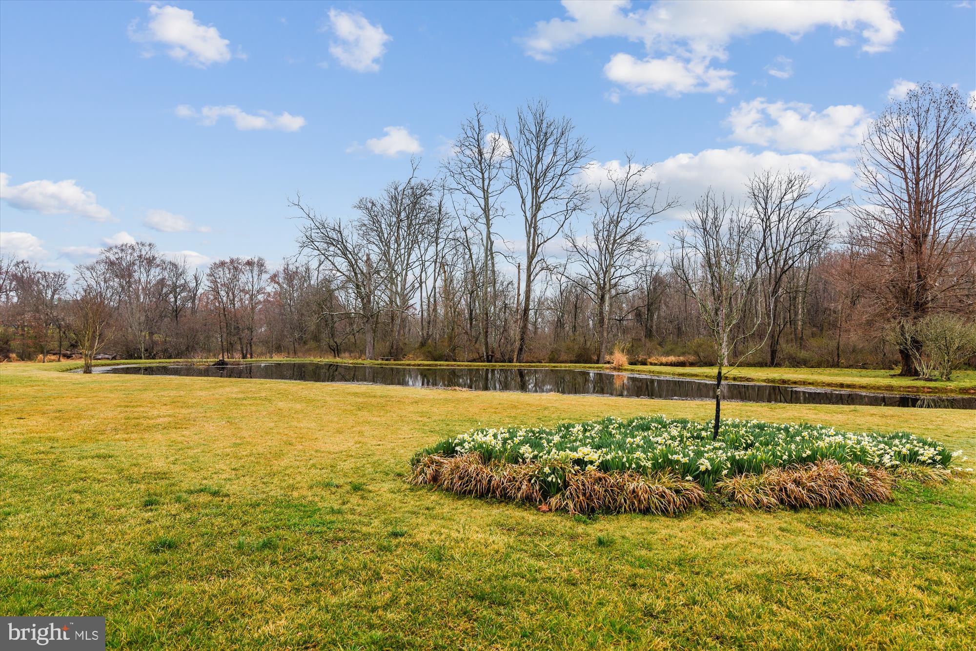 5245 Georgetown Road Broad Run, VA 20137 - Photo 15 of 73 mature plantings