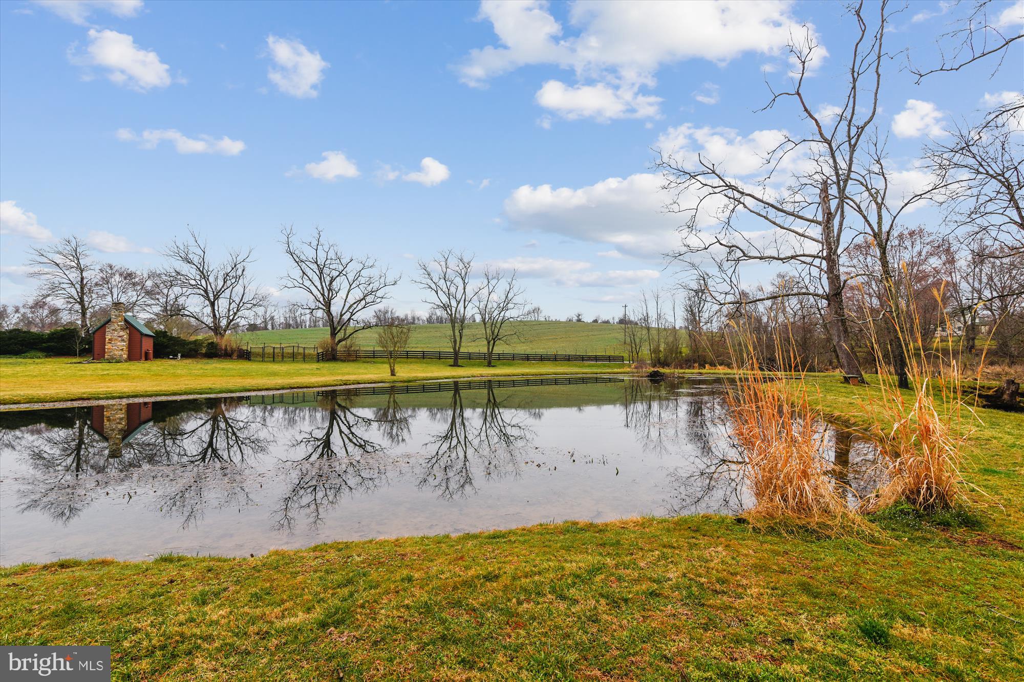 5245 Georgetown Road Broad Run, VA 20137 - Photo 17 of 73 pond