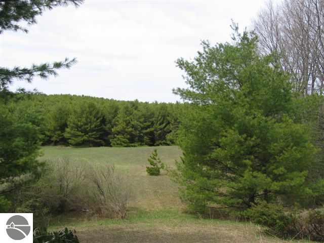 0 West Silver Lake Road Traverse City, MI 49684 - Photo 3 of 10