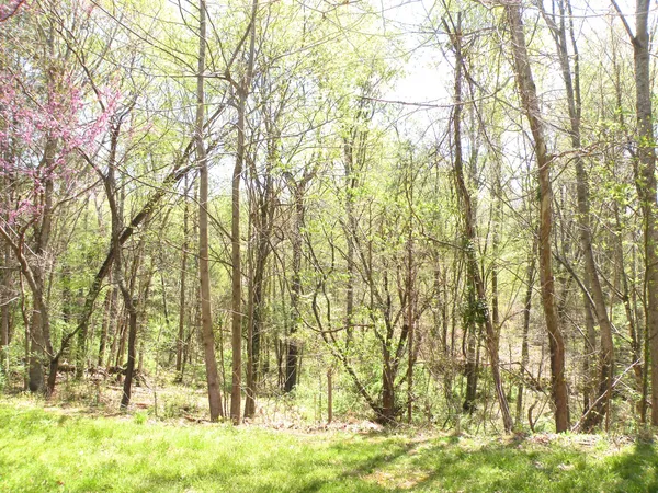 $675,000 | 150 J W Thompson Road, Westmoreland, TN 37186