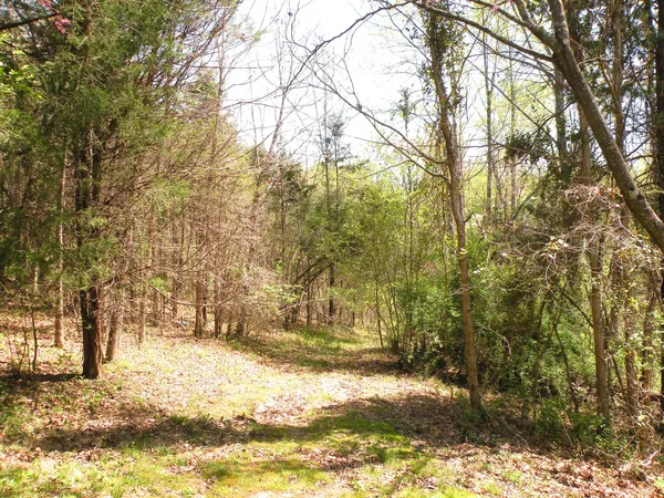 $675,000 | 150 J W Thompson Road, Westmoreland, TN 37186