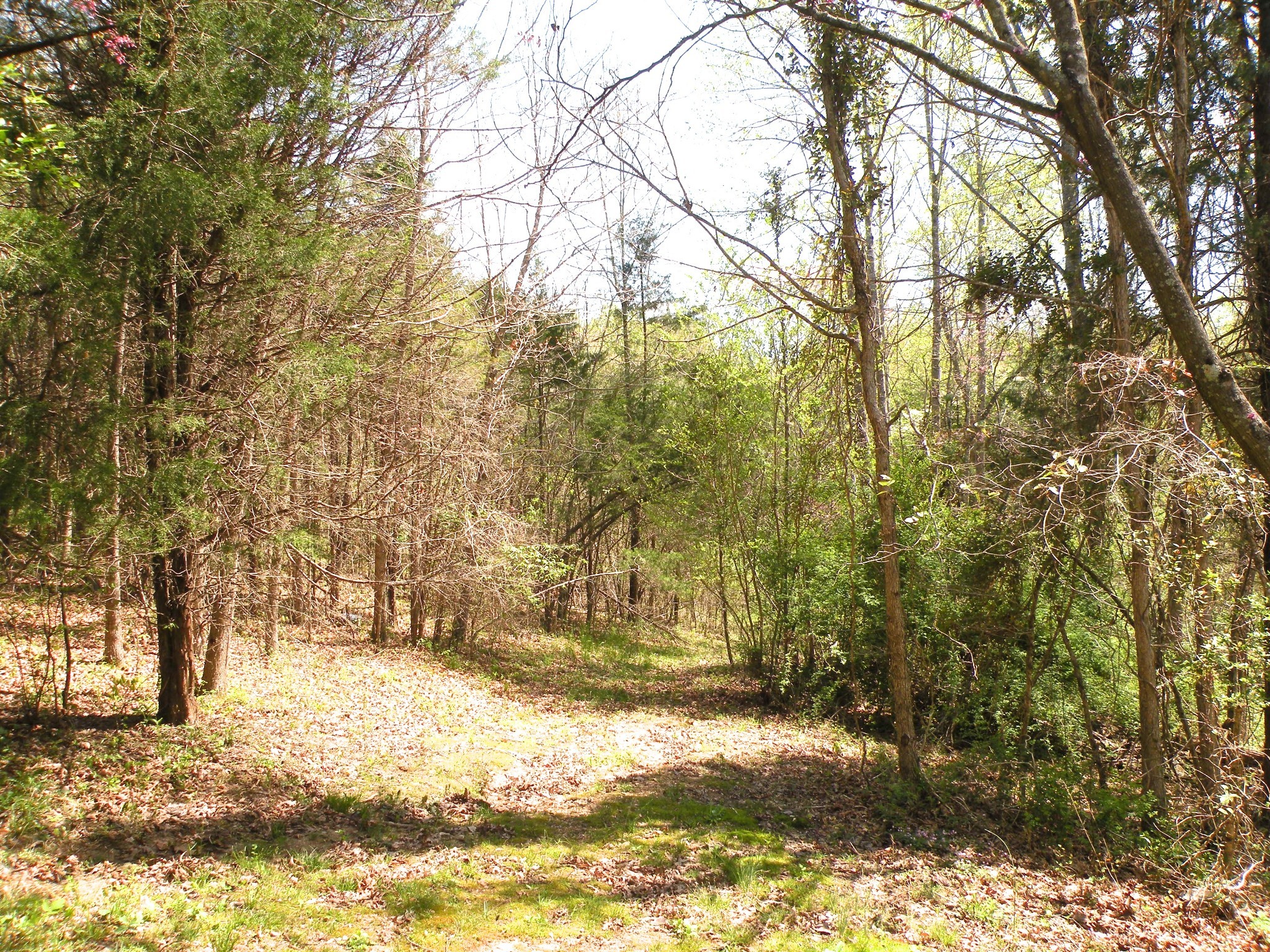 150 J W Thompson Road Westmoreland, TN 37186 - Photo 29 of 65