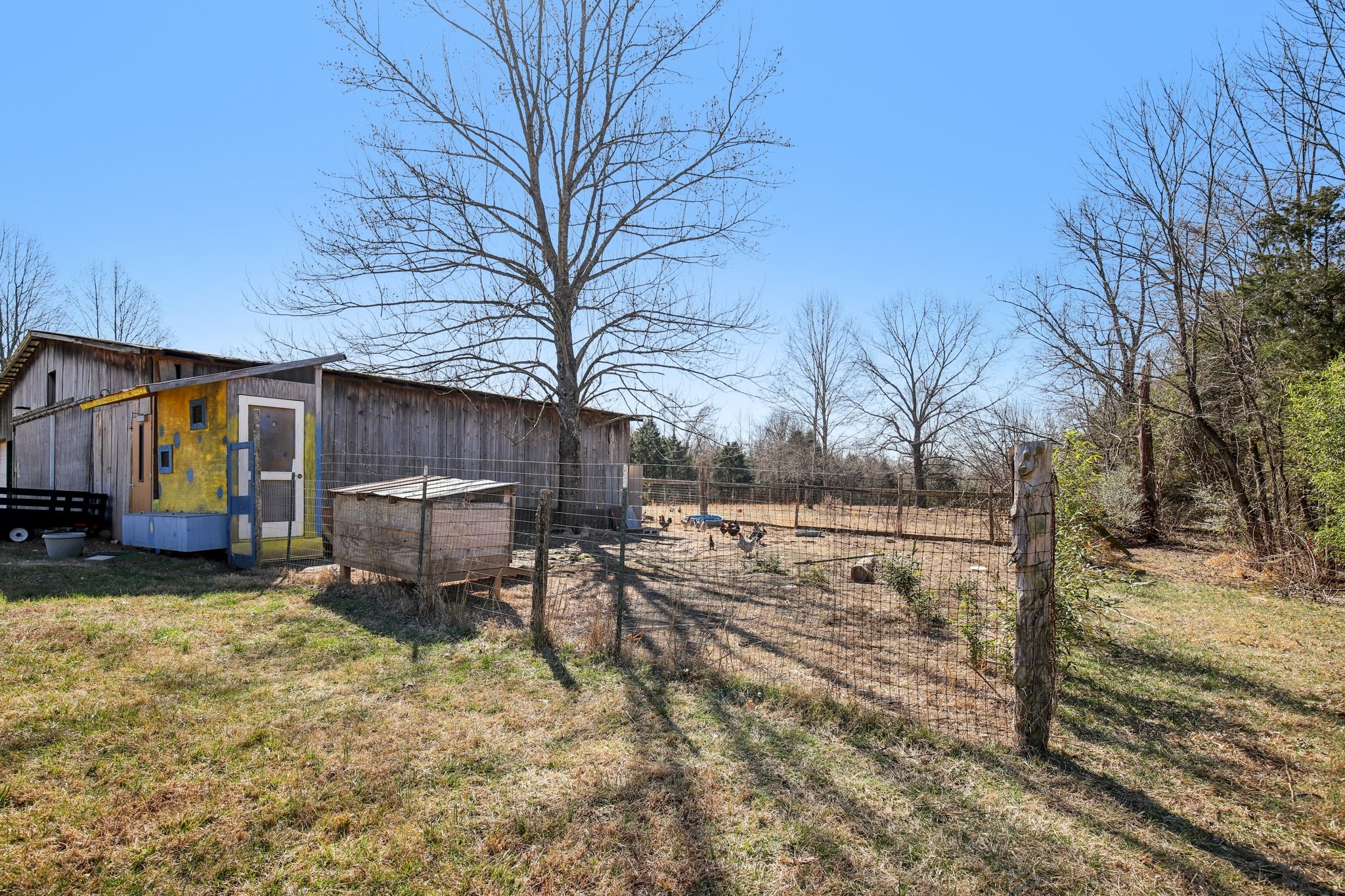 150 J W Thompson Road Westmoreland, TN 37186 - Photo 46 of 65