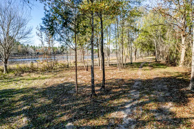 $360,000 | 0 Mansfield Brown Road, Warthen, GA 31094