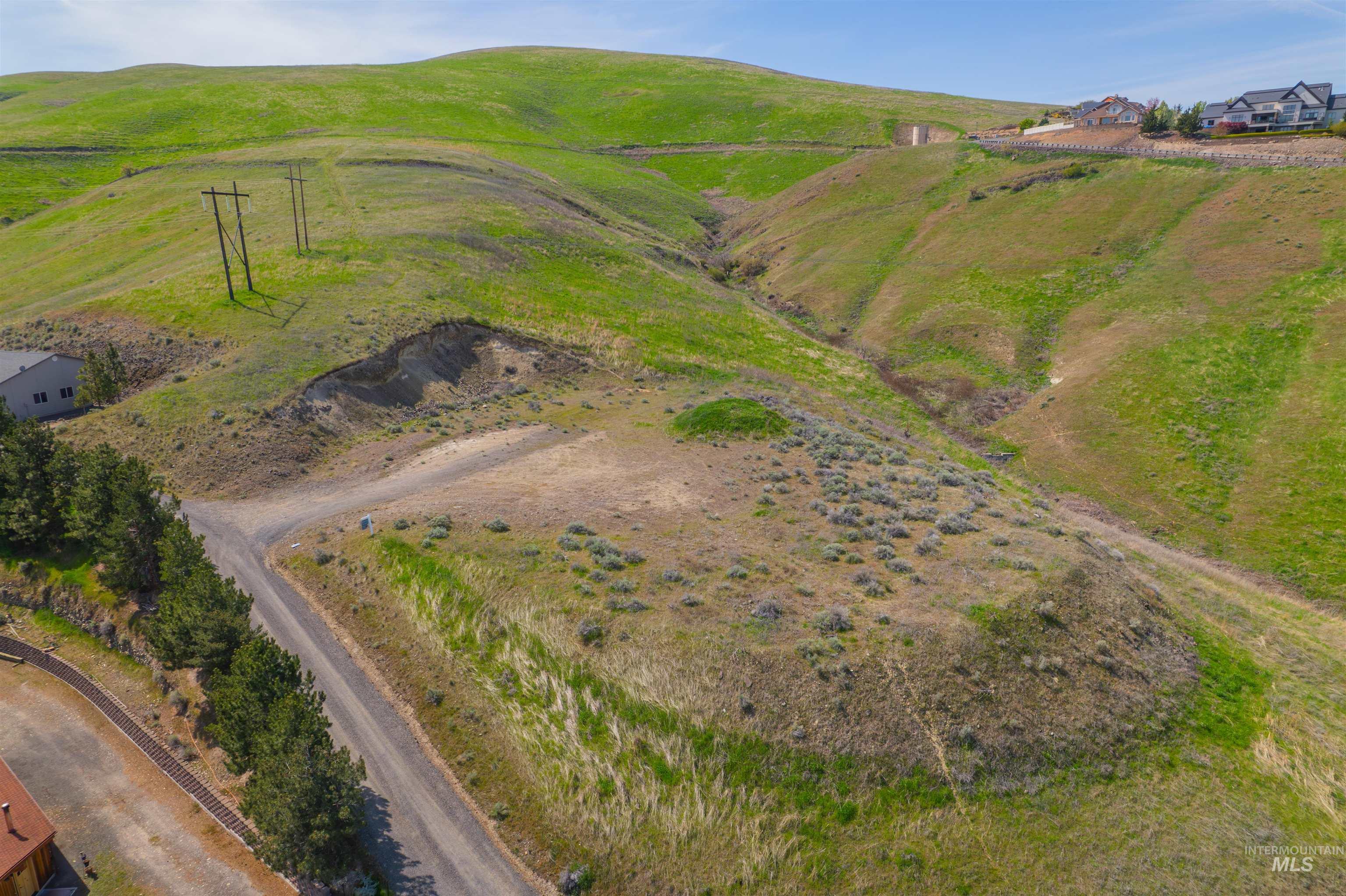 1780 Cherry Street Clarkston, WA 99403 - Photo 9 of 19 Overview of rural landscape with a mountain backdrop