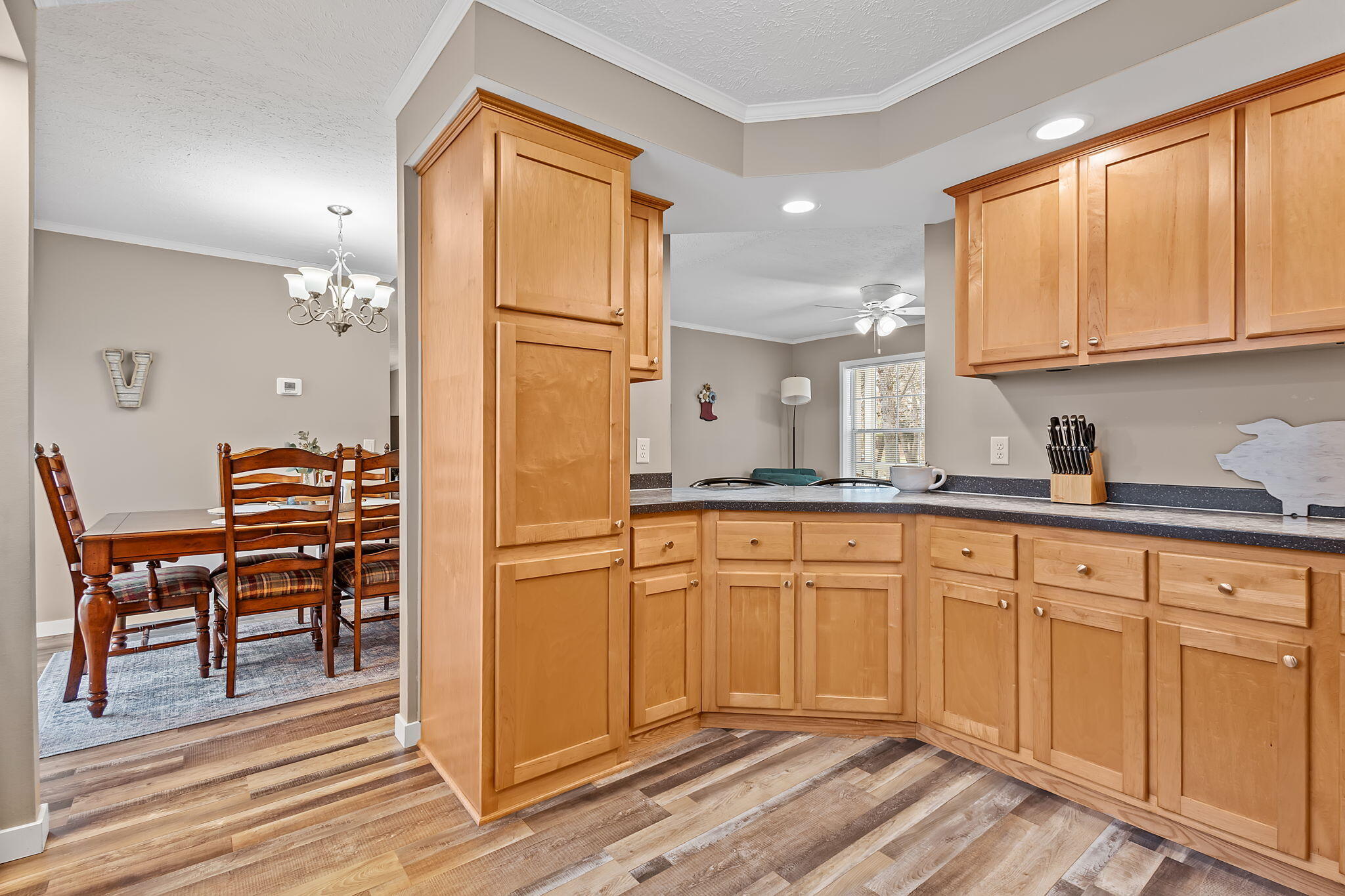 10917 Sheephead Court Demotte, IN 46310 - Photo 14 of 39 2048x1365