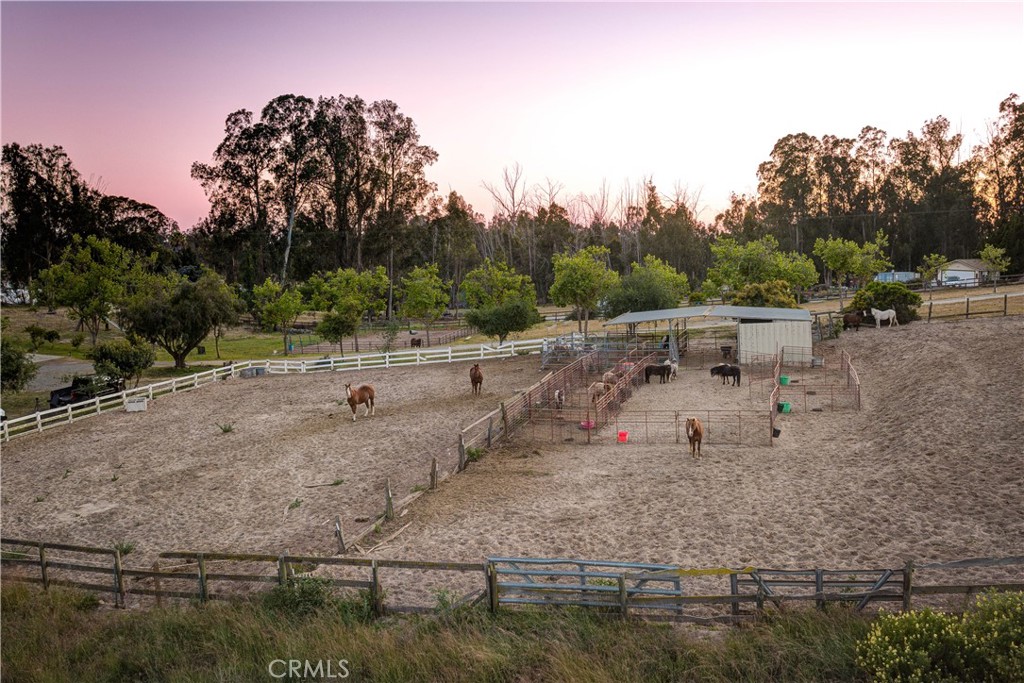 1473 Willow Road Nipomo, CA 93444 - Photo 52 of 52 a view of a yard with wooden fence