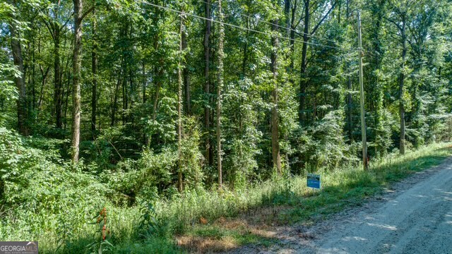 0 Tom Kat Lavonia, GA 30553 - Photo 2 of 9 a view of a lush green forest