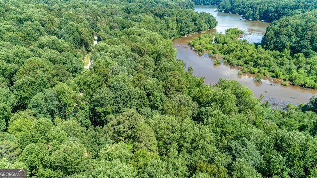 0 Tom Kat Lavonia, GA 30553 - Photo 3 of 9 an aerial view of a house with a yard and lake view
