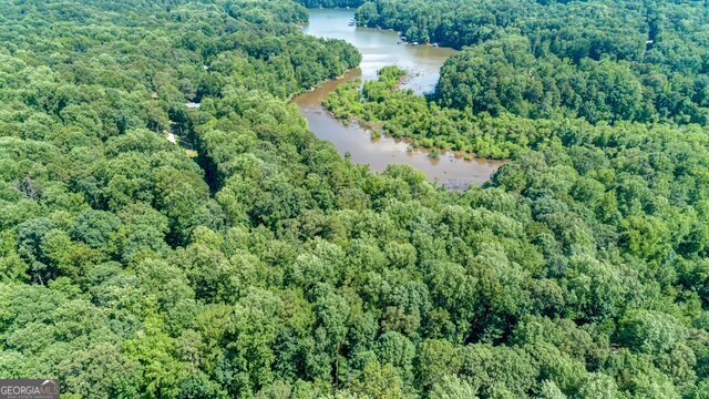 0 Tom Kat Lavonia, GA 30553 - Photo 5 of 9 an aerial view of a house with a yard