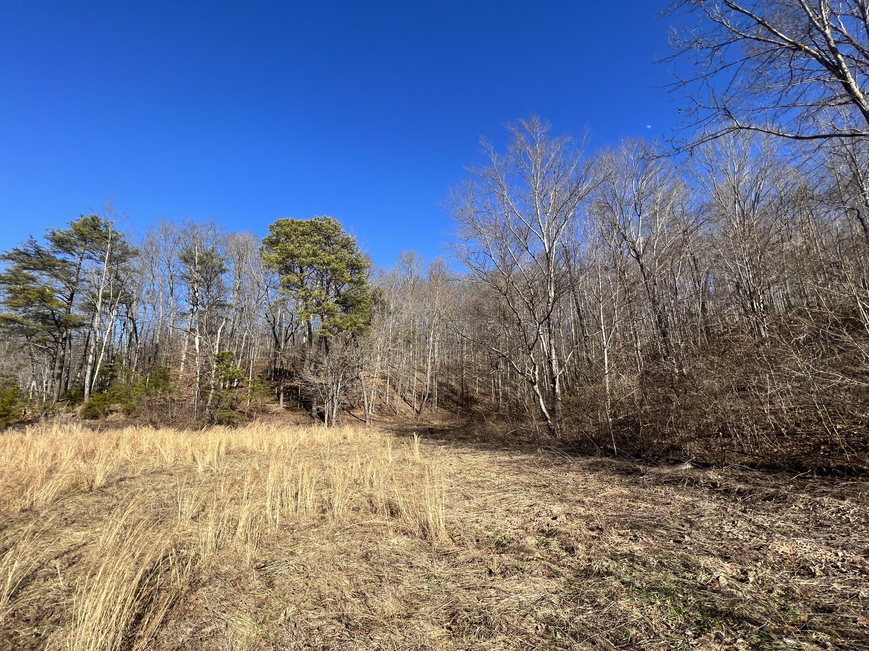 406 Harrod Branch Road London, KY 40741 - Photo 12 of 27 6425AA77-5CFC-4DF0-91E2-1E1AAFEB9E3E