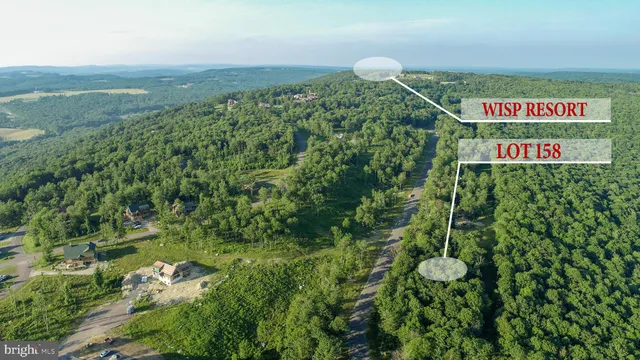 a view of a bunch of trees and bushes