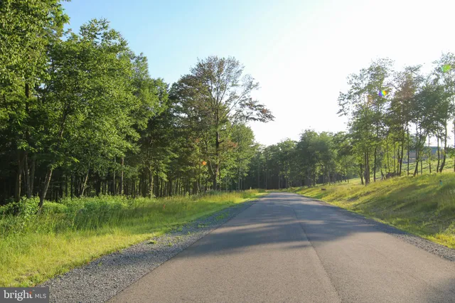 $120,000 | Lot 158 Fork Run Trail, McHenry, MD 21541