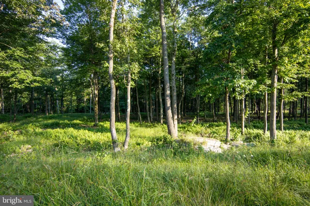 $120,000 | Lot 158 Fork Run Trail, McHenry, MD 21541